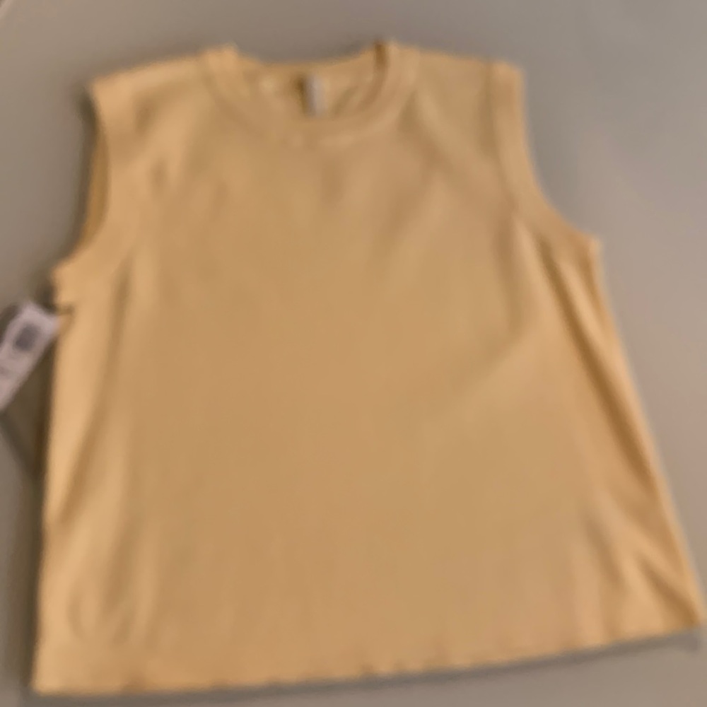 The Group Babaton tank sweater